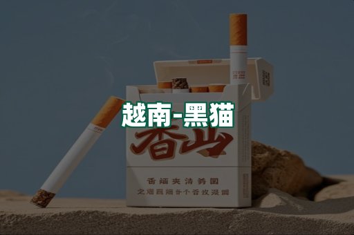 越南黑猫